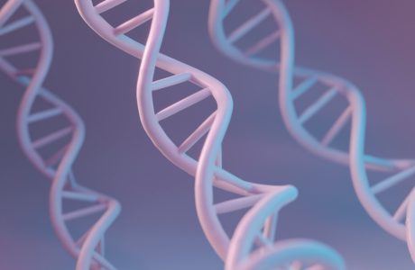 DNA